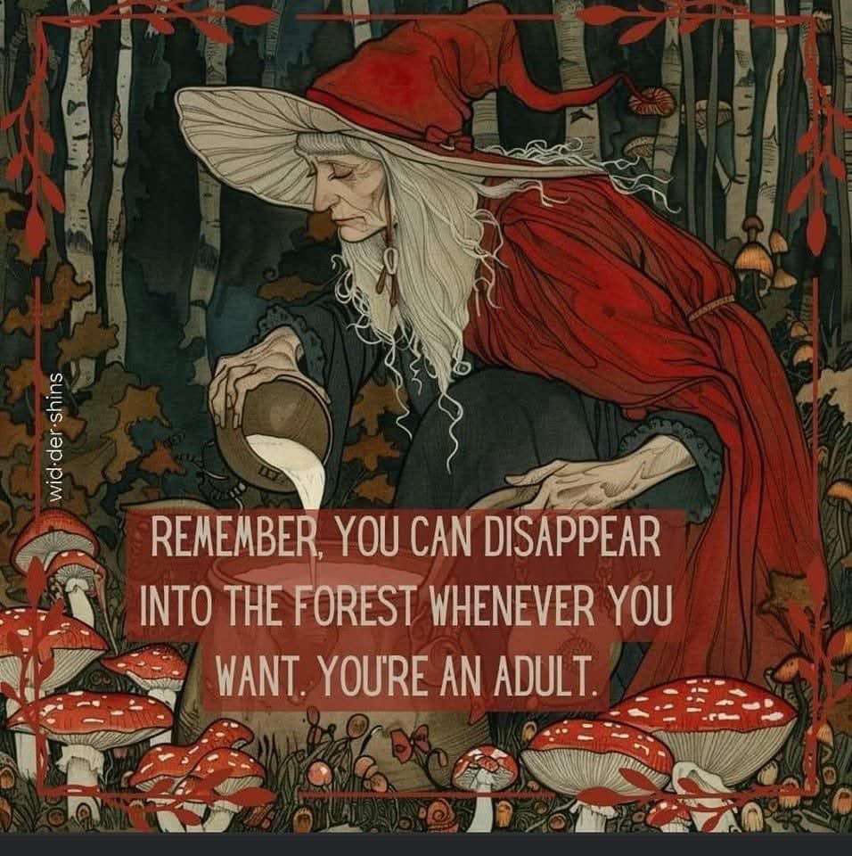 teresapaton3's tweet photo. https://t.co/wsAUA8TdMj