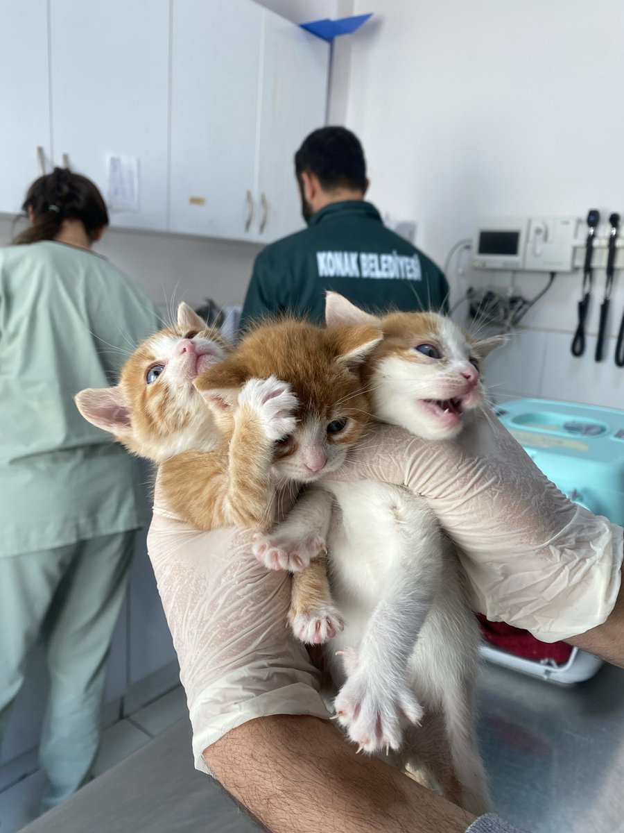 İZMİİİİİİİİİİRRRRRR NERDESİN