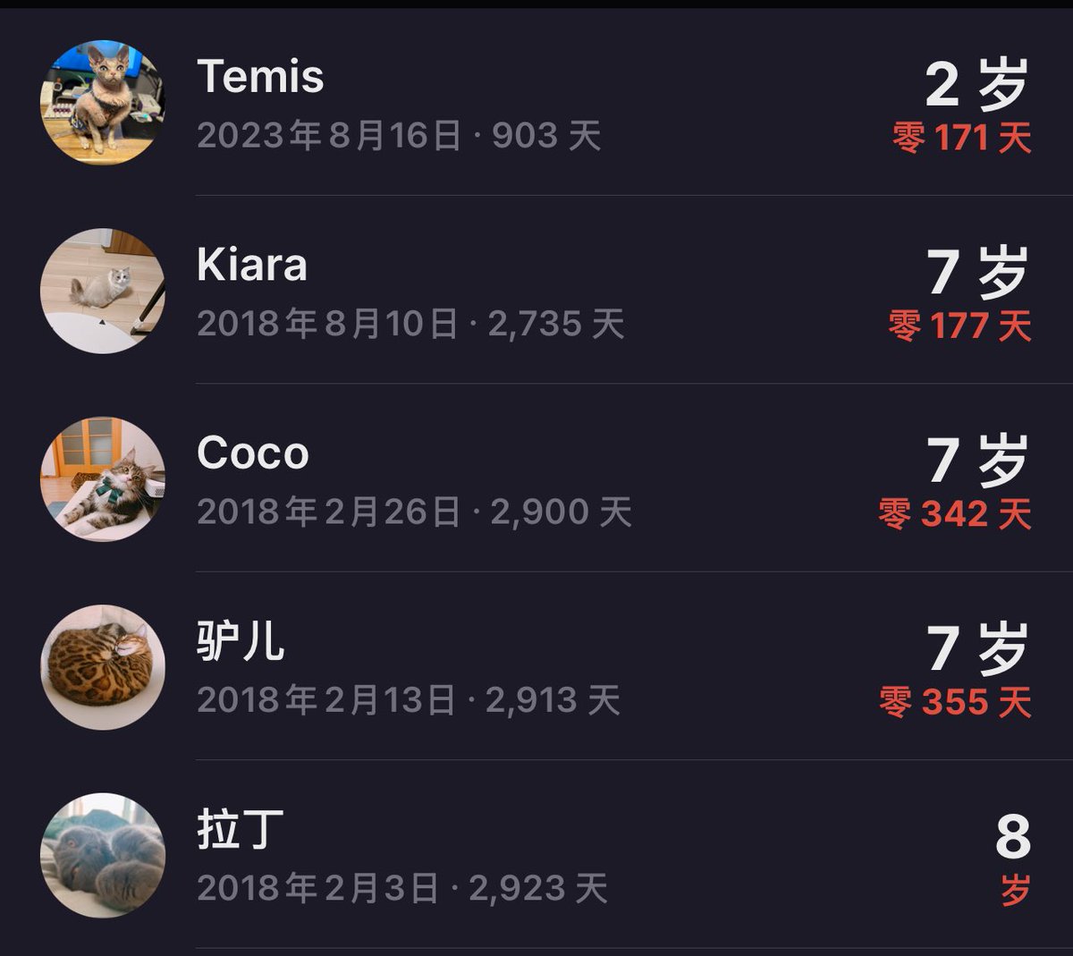 又是新的一年！