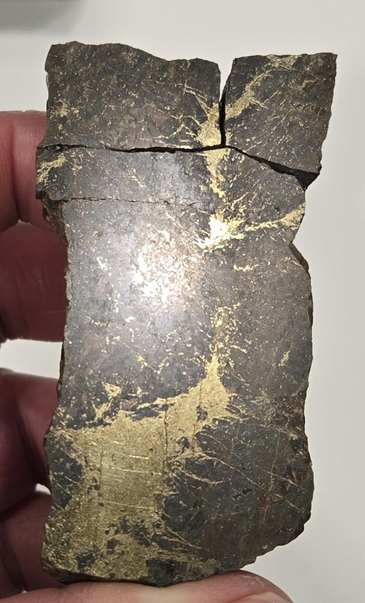 Northern Shield announces soil sample results from the Braxton Bradley Zone at our 100% owned Root &amp; Cellar Project. Assay results from the soil samples show distinctly anomalous concentrations in gold, silver, copper and tellurium
Read Full Press Release: northern-shield.com/pressreleases/