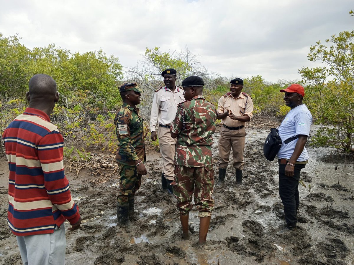 tanawetrust's tweet photo. We marked this year’s #WorldWetlandsDay at Semi-Karo Village in the Tana Delta, where we successfully planted 3,000 mangrove trees along the lower delta line. 
@NemaKenya @InteriorKE @Tanariver004 @Concern @climate_ke @forestserviceKE @KEFRIHQ @Nature_Kenya @UNEP_Africa https://t.co/MxAq1Fkiu7
