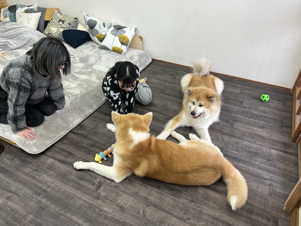 SK57920481's tweet photo. 遊びに来てね🐾 https://t.co/mr350S7X7U