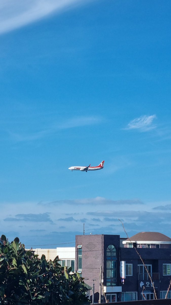 note465450's tweet image. 제주에 여행 왔어요
그래서 독서는 잠시 멈춤.. 일주일 정도는 일상 위주로만 굴러갑니다 •°○ 날 떠나가지 마 독서계 트친들아~~