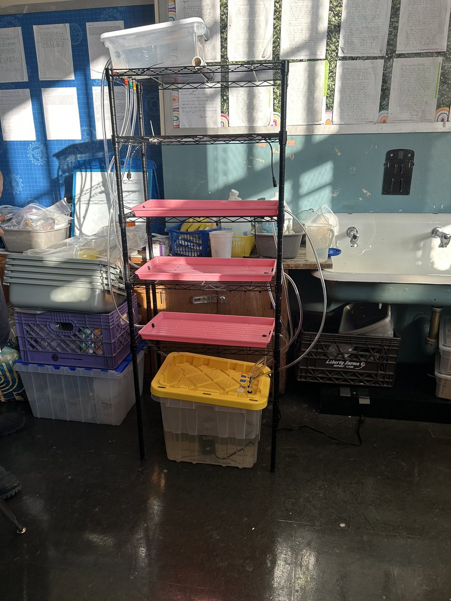 Hydroponic tower being set up in our science room!  🌱