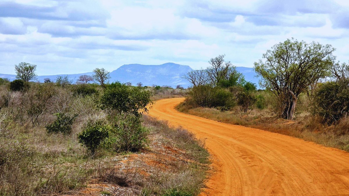 Two years ago, Africa had a surge in port development. By contrast, further infrastructure development has been inadequate. Those imports need the roads to facilitate distribution across the continent.

Today’s econlife blog: econlife.com/2026/02/transp…