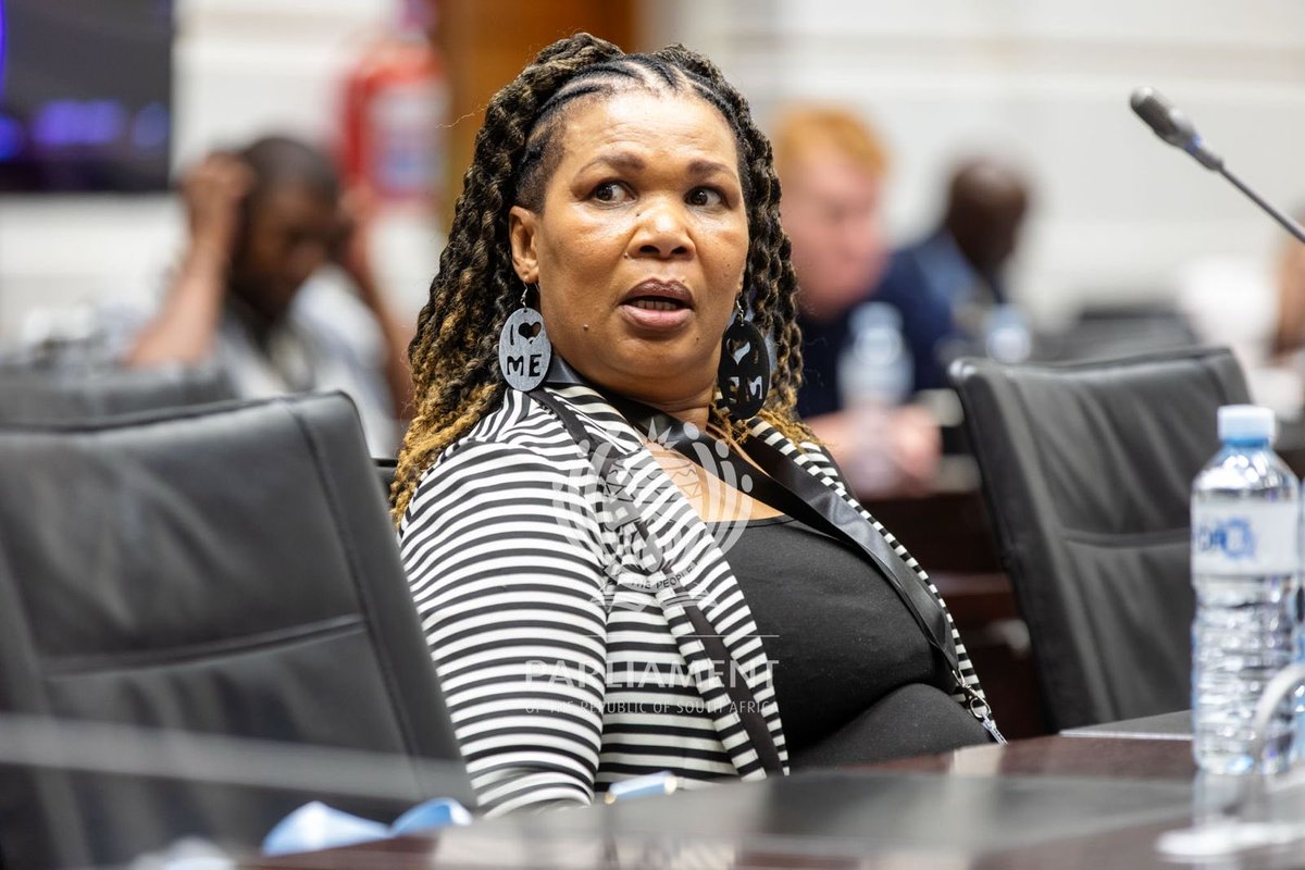 Ad Hoc Committee Investigating Allegations made by Lt Gen Mkhwanazi - during the testimony of Ms Patricia Mashale. #pkttt @ParliamentofRSA @SAPoliceService ⁦@NPA_Prosecutes⁩
