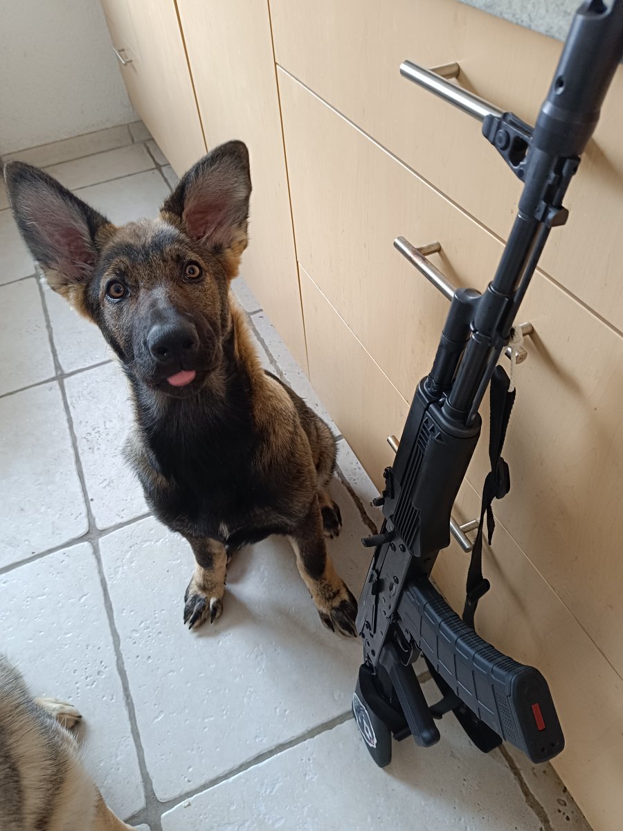 neutral_af's tweet image. &amp;gt; You don't know shit about Switzerland
Neither do you apparently