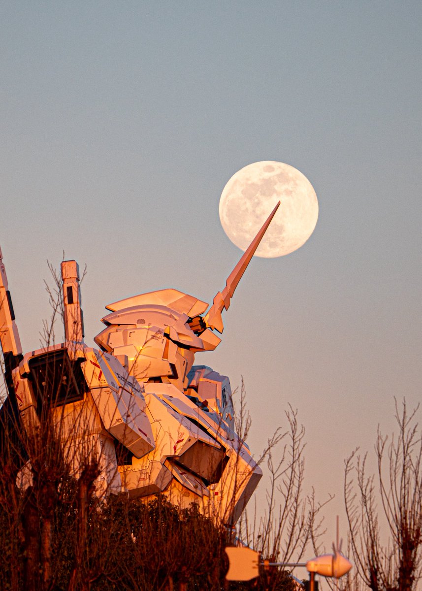 よっくん (@yoshi115t) / Posts / X