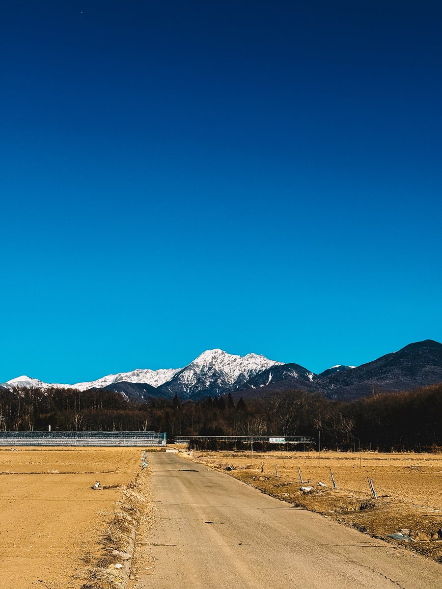 Castelli Japan【公式】 (@castelli_japan) / Posts / X