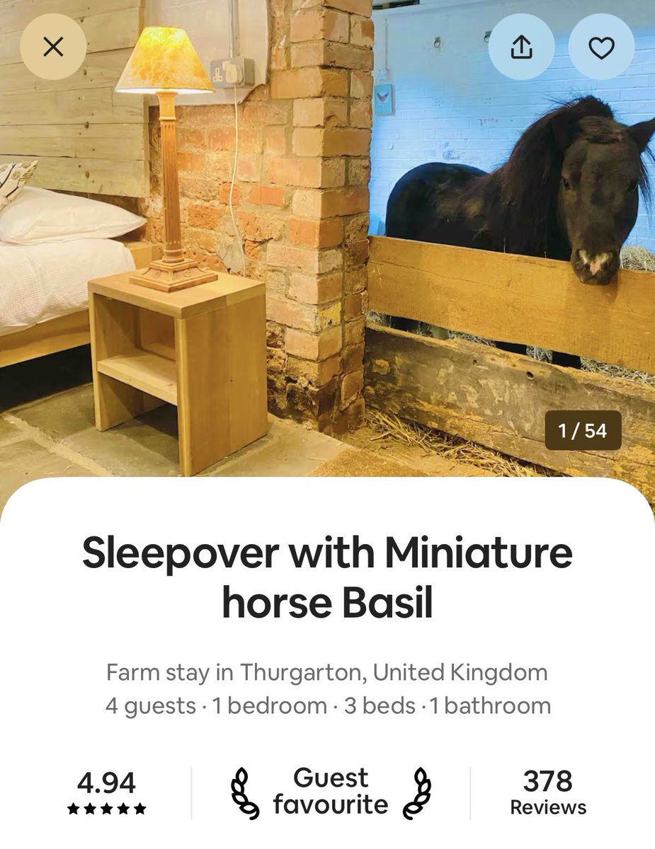 horsetwting's tweet image. gem airbnb find