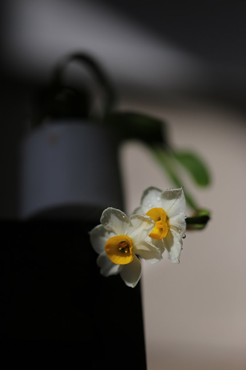 在山林 tweet media