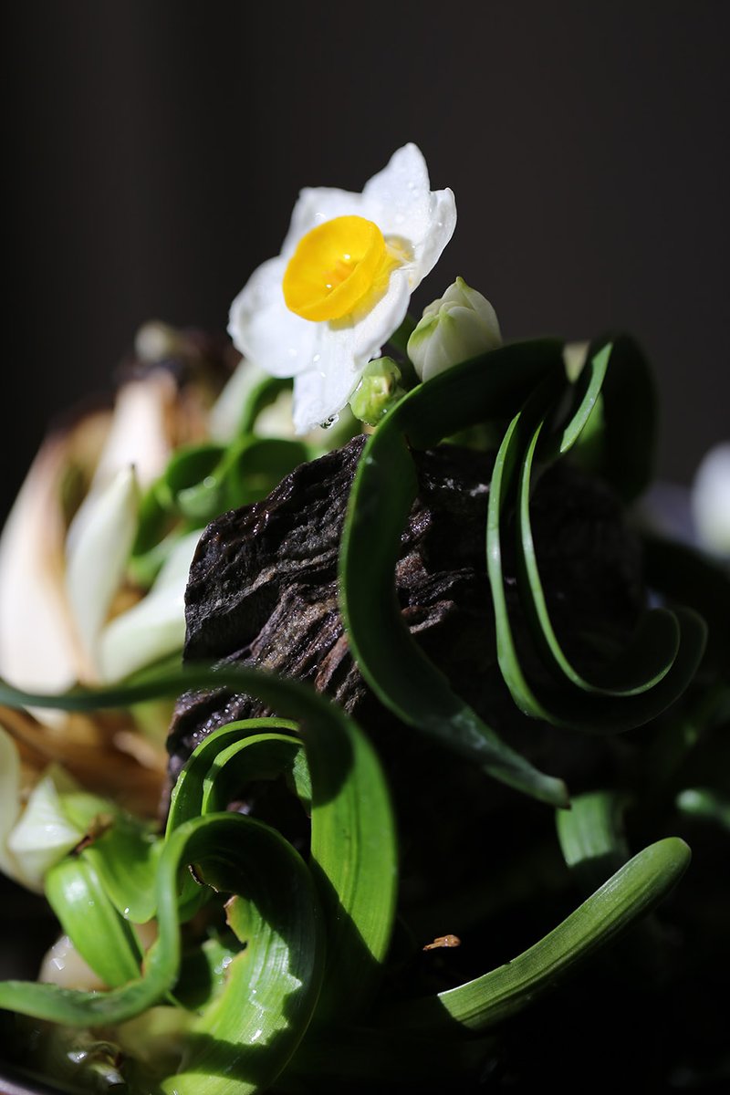 在山林 tweet media