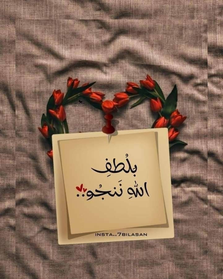 فاطِمَة صدّيقةٌ شهيدةٌ tweet media