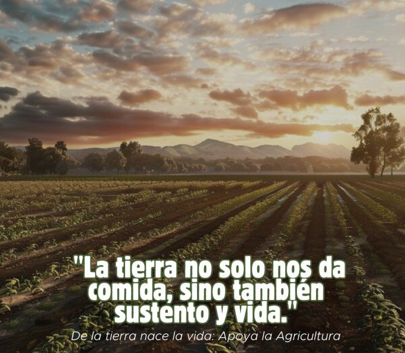 FEDIAP
Educación y Desarrollo para el Medio Rural y su Gente
fediap.com.ar
#EducaciónAgraria