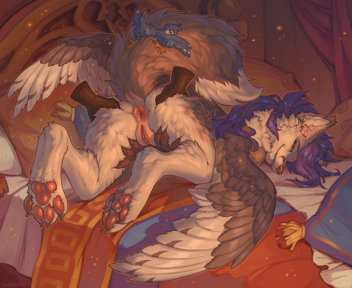 Hioshiru 🔞 tweet media