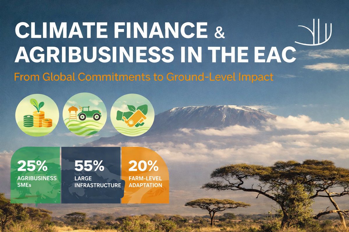 mo_Shokry_'s tweet photo. Climate finance is rising globally — but is it reaching agribusiness where it matters most?

Issue #05 of EAC Agribusiness Insights explores the gap and the solutions in the EAC.

👇 Read more

https://t.co/TYaS3rb2H2 https://t.co/7W2RCCZttB