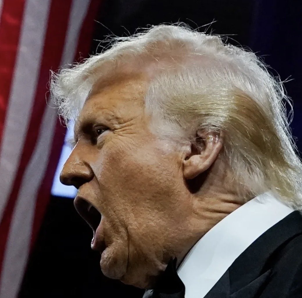 Jeffrey Epstein, one of the most depraved &amp; notorious pedophiles in the world said: 

‘I have met some very bad people. None as bad as Trump. Not one decent cell in his body.’