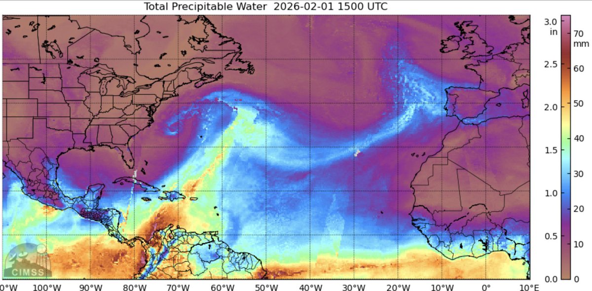 Tutiempo tweet media