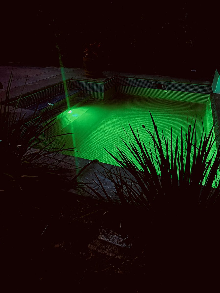 Robsnute (@robin936_) on Twitter photo 