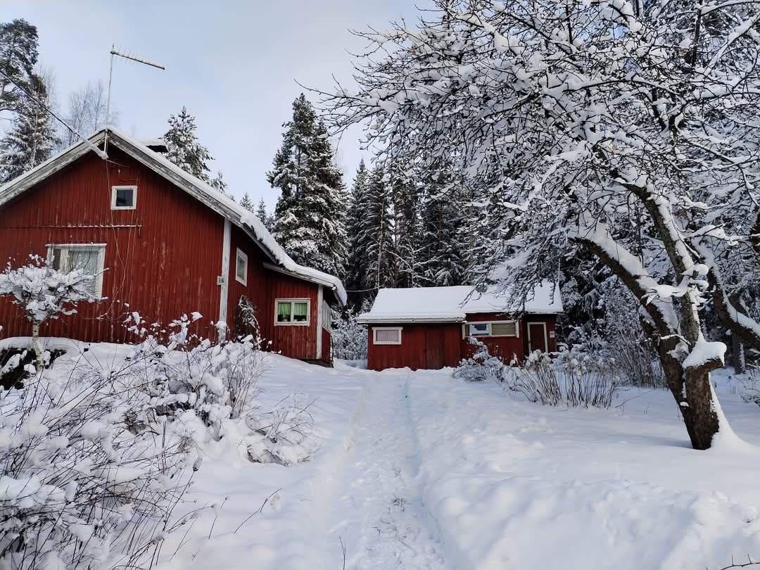 Summer and Winter our Wee place near the Russian border