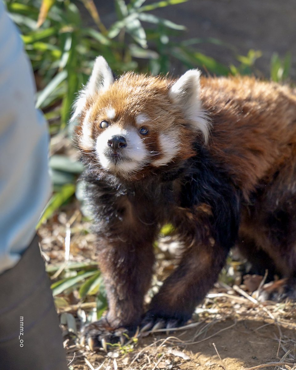 mmm（むむ） (@mmmz_oo) / Posts / X