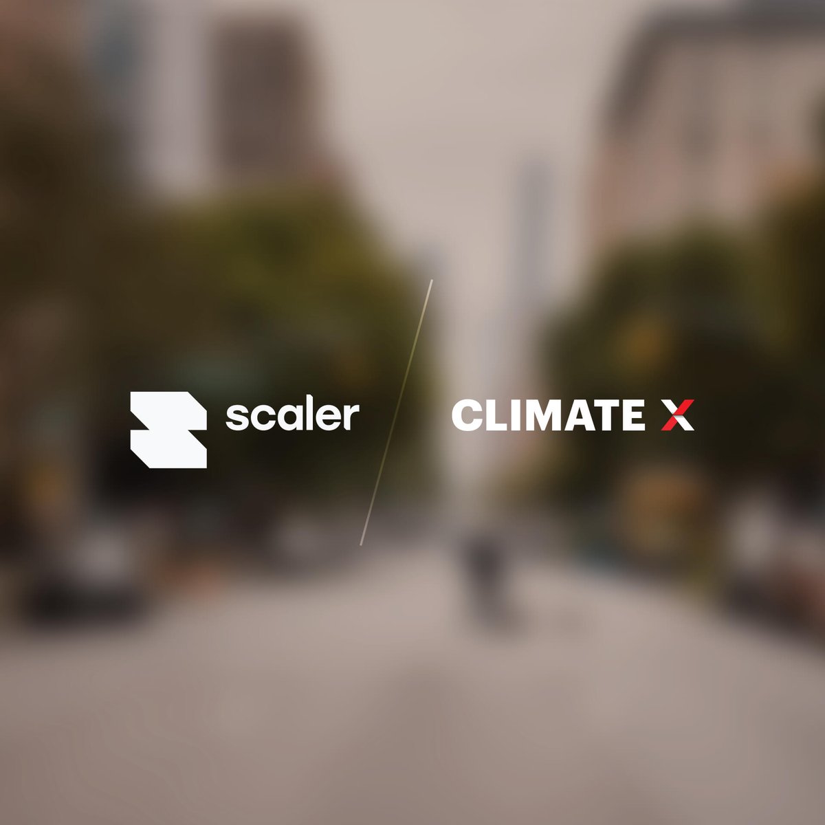 Climate X tweet media