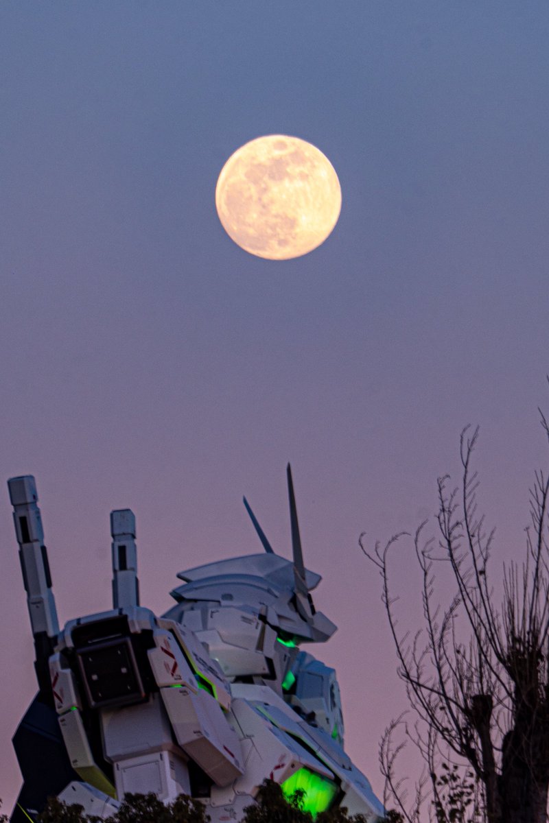 よっくん (@yoshi115t) / Posts / X