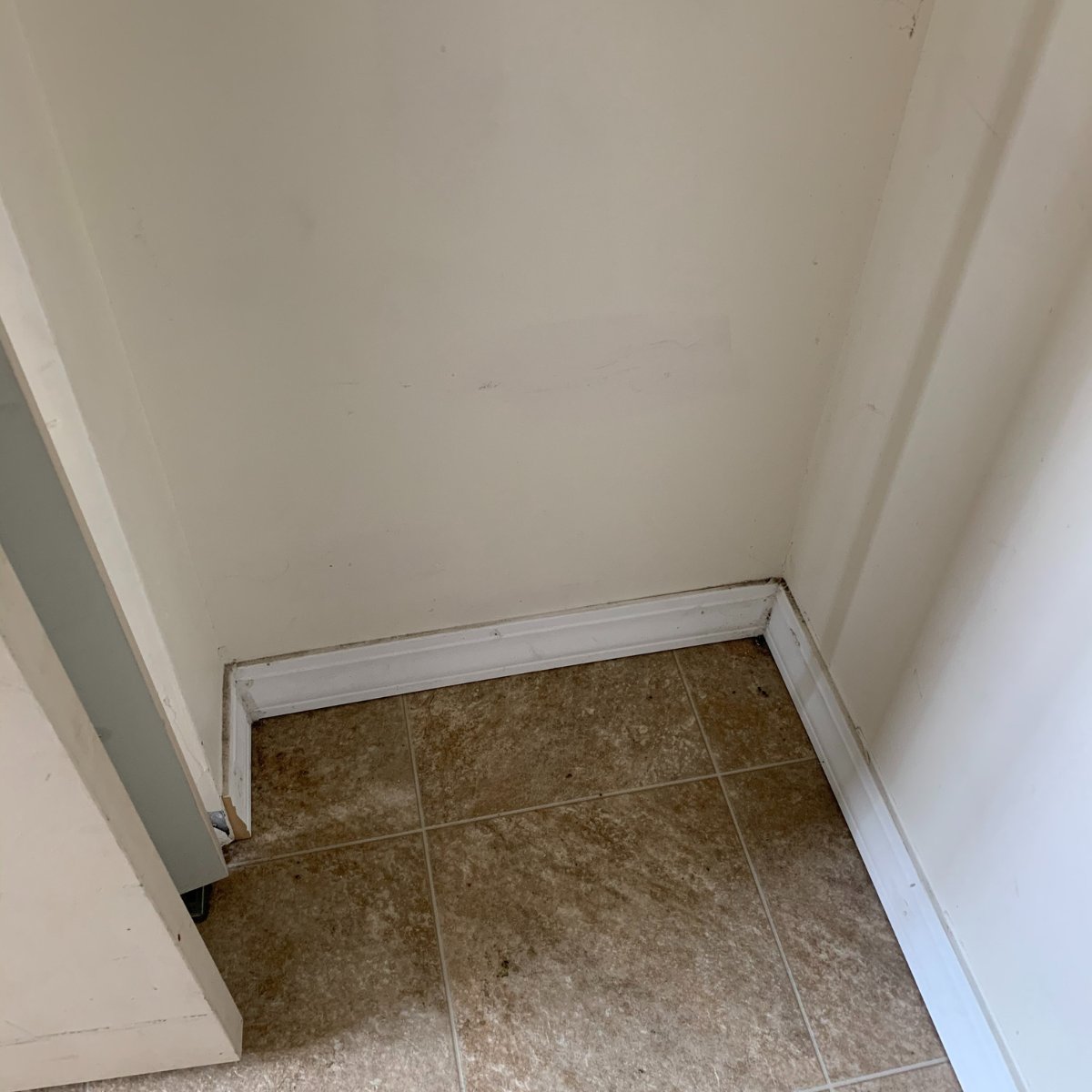 That patch of mold might look like an easy DIY fix, but looks can be deceiving. 👀 
Cleaning without proper containment can spread mold to other rooms and increase health risks for your household. Read more: gotmold.ca/education/diy-… We find and fix sources of unhealthy #indoorair.