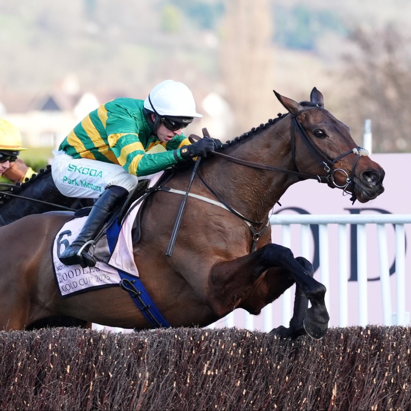 AtTheRaces's tweet photo. Great news! 💚💛