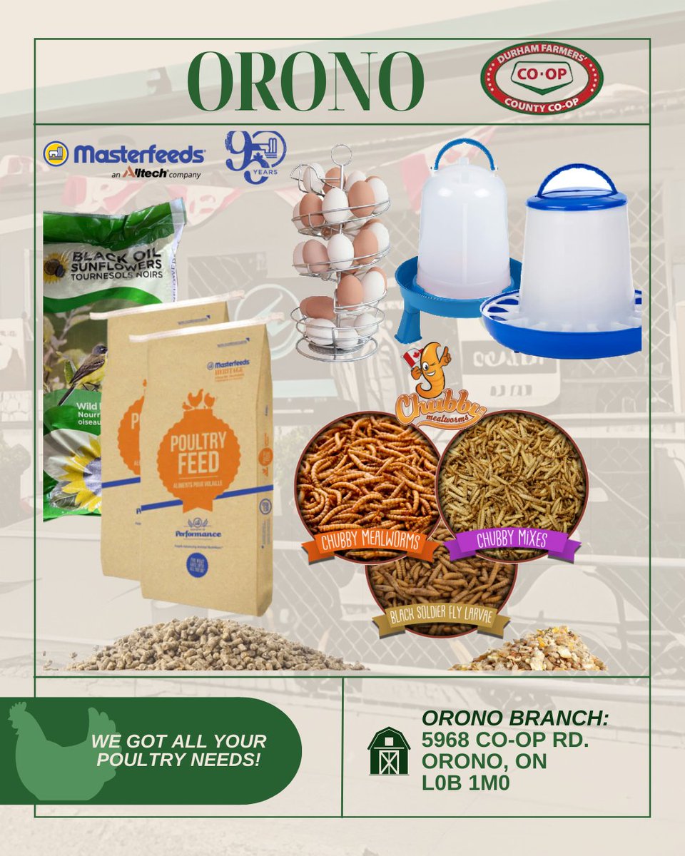 DurhamCoop's tweet image. 𝘞𝘩𝘺 𝘥𝘪𝘥 𝘵𝘩𝘦 𝘤𝘩𝘪𝘤𝘬𝘦𝘯 𝘤𝘳𝘰𝘴𝘴 𝘵𝘩𝘦 𝘳𝘰𝘢𝘥? 🐓➡️

#DurhamFarmersCoOp #DFCC #CountyCoop #OronoCountyCoop #Durham #farmerlife #agriculture #agronomia #hobbyfarm