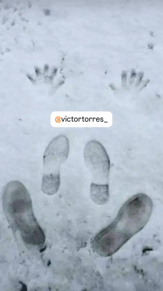 A Alguien le Fuê Bien Si