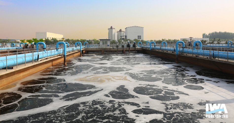 GWOPA / UN-Habitat tweet media