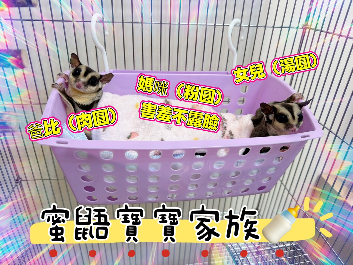 李映青 tweet media