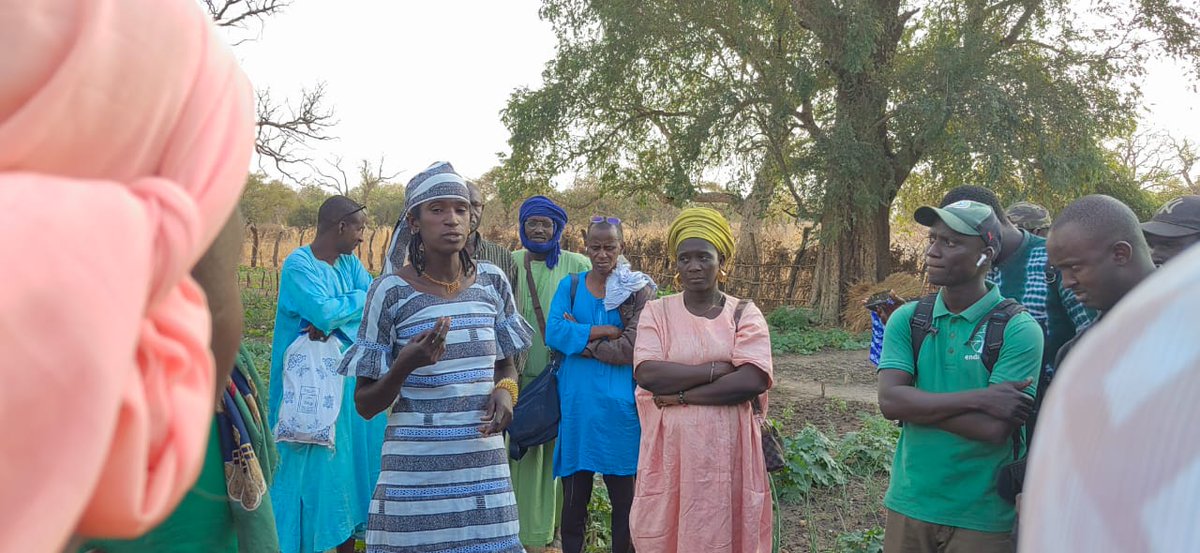 Enda Pronat: Protection naturelle des terroirs tweet media