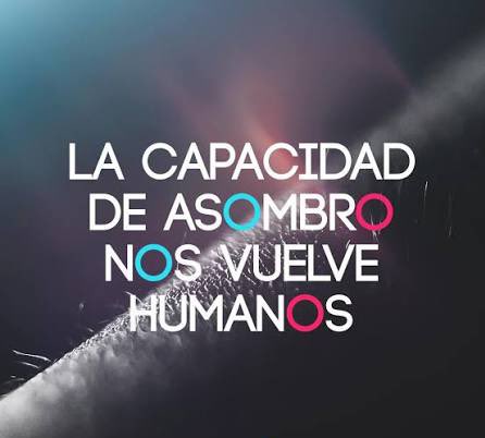 ¿Y será que perdimos la capacidad de asombro y la sensibilidad social ante tantas muertes por accidentes de tránsito? Debemos revisarnos como sociedad. Con este tema y otros, urge cultivar la capacidad de asombro.