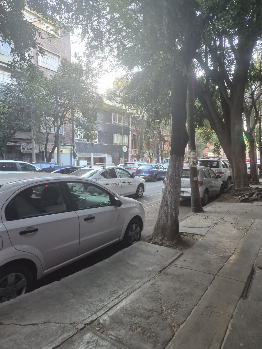 Itzel Yuki Jaramillo tweet media