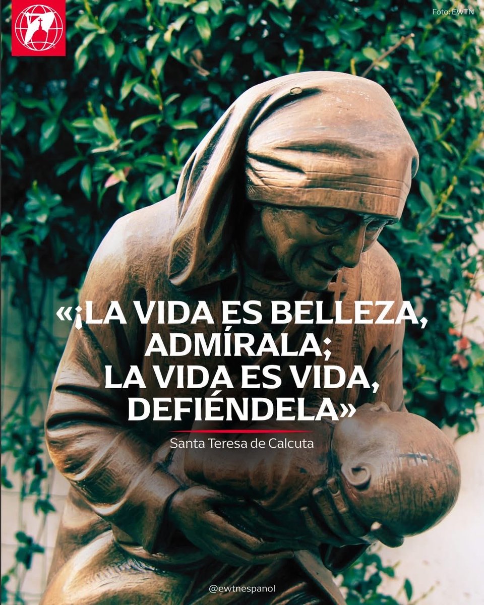 ¡Toda vida es sagrada! Llevemos adelante la cultura de la vida como respuesta a la lógica del descarte; estemos cercanos y juntos rezamos por los niños que están en peligro de interrupción del embarazo... —¡toda vida es sagrada!  Papa Francisco, Ángelus, 5/2/2017.