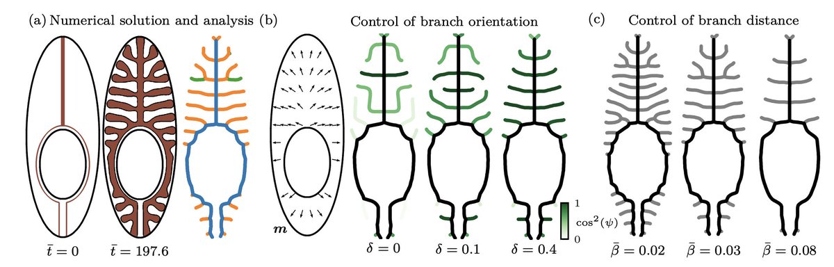 PRX Life tweet media