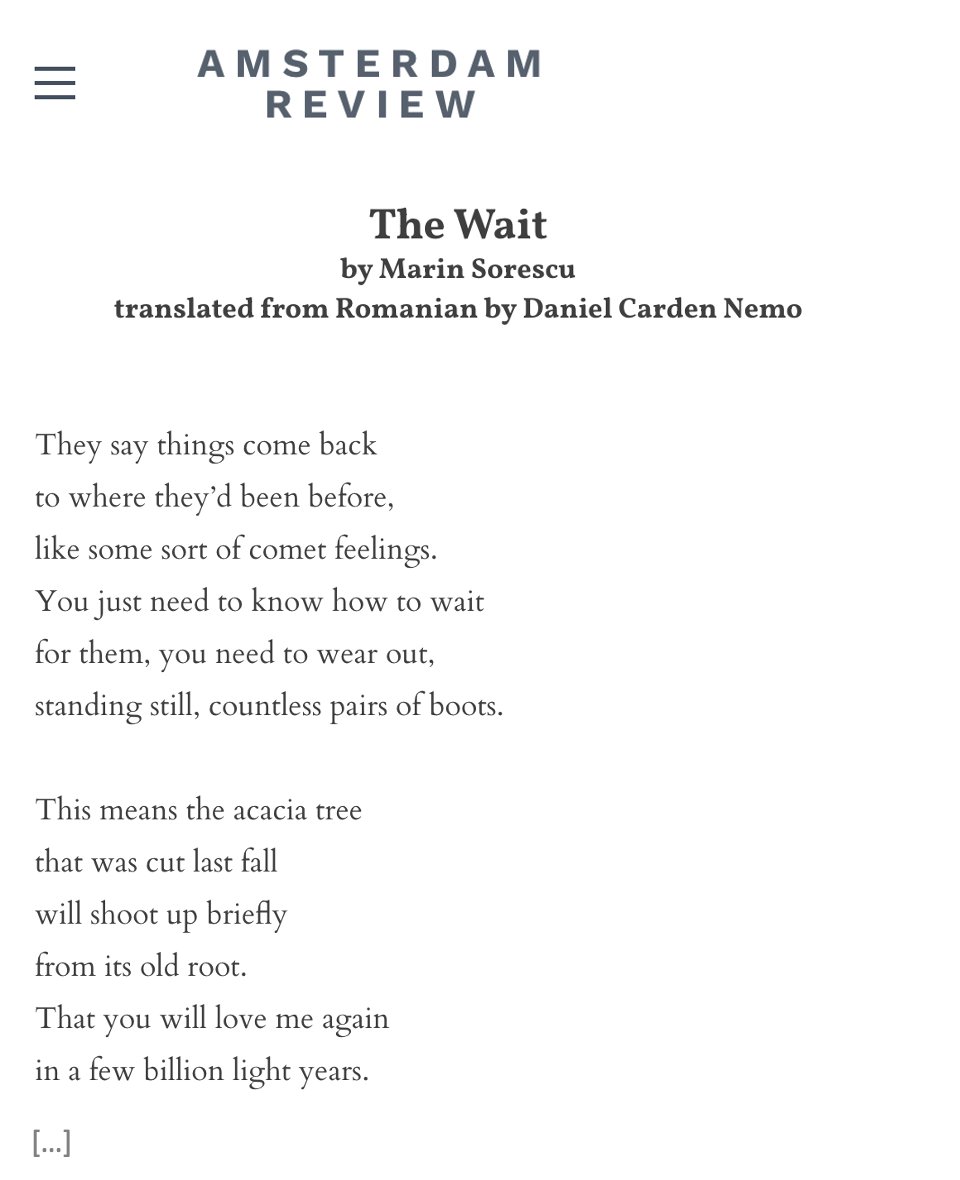 Amsterdam Review tweet media