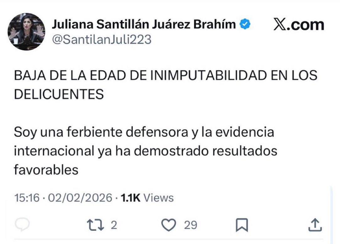 Mirá, si estás a favor de bajar la edad de INIMPUTABILIDAD, por mí escribí ferviente como se te cante la chota.