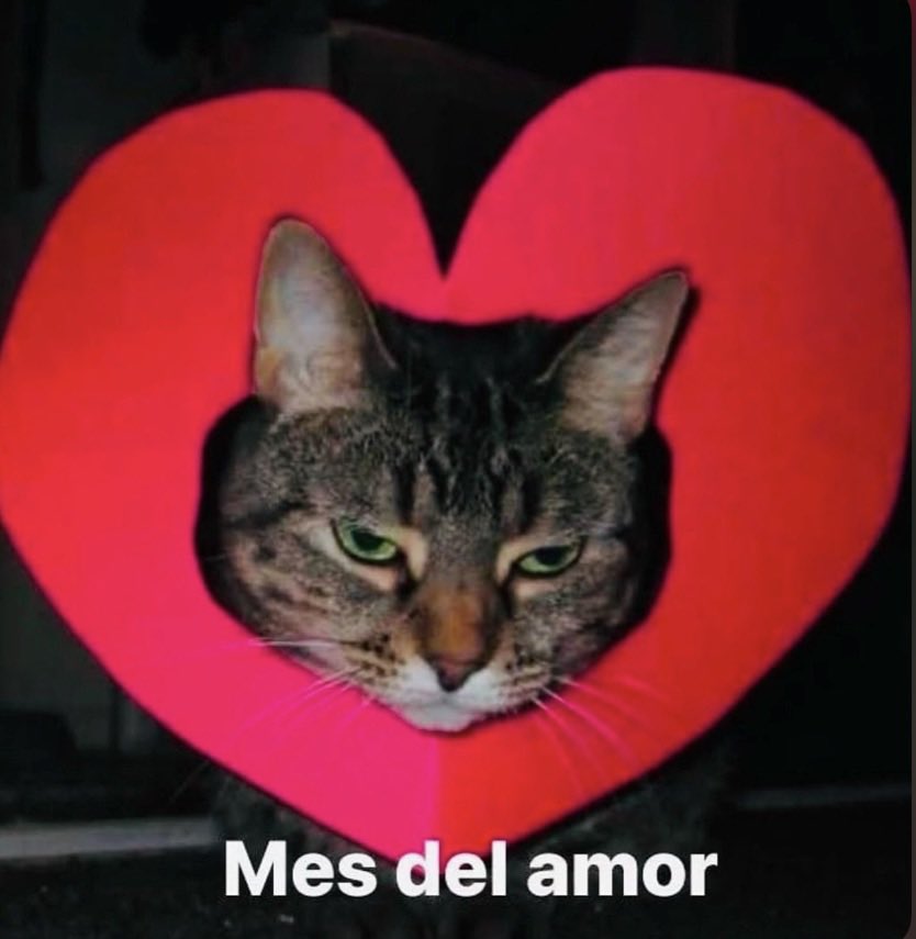 Febrero con toda la actitud!