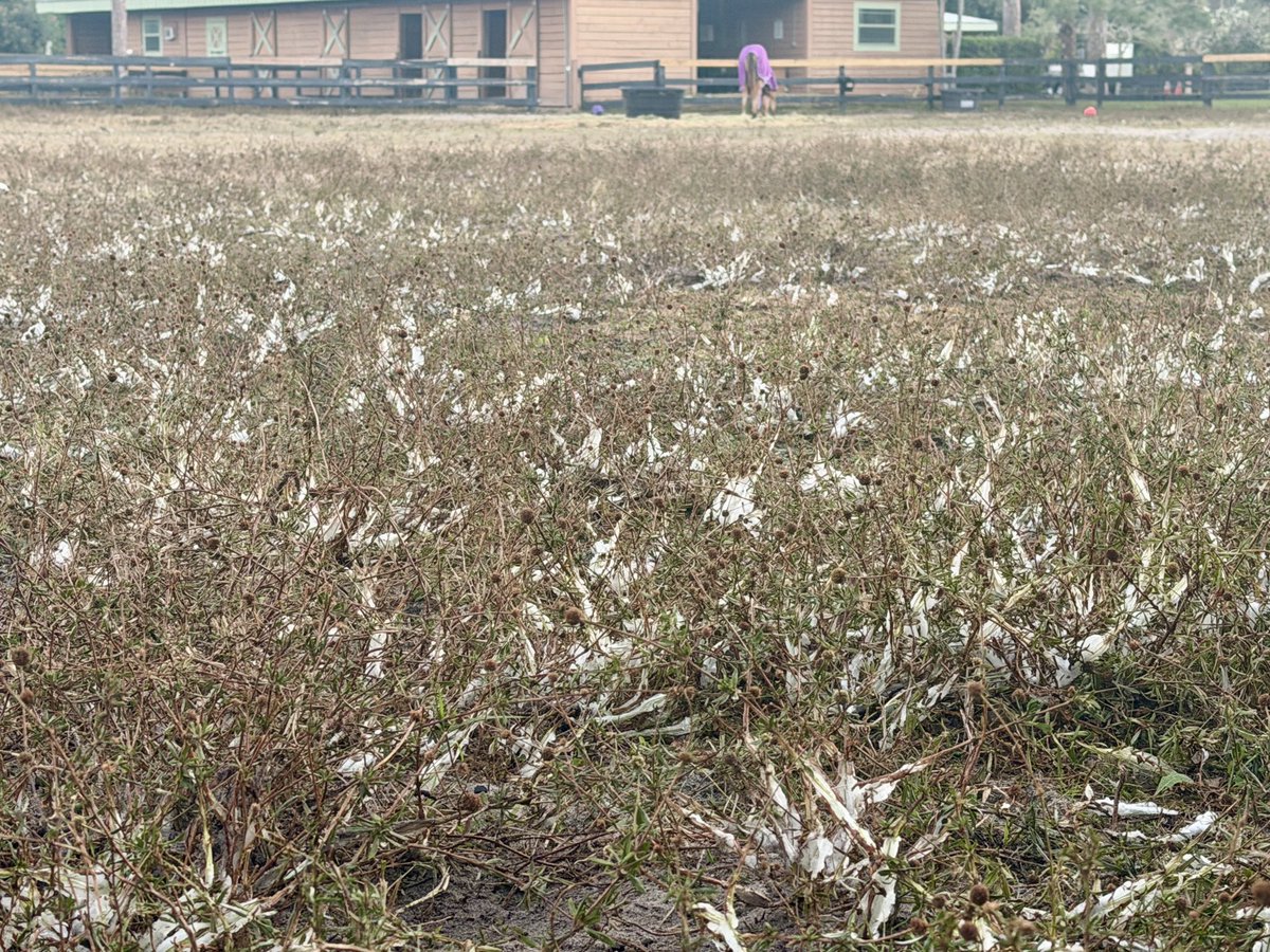 Possums Walker tweet media