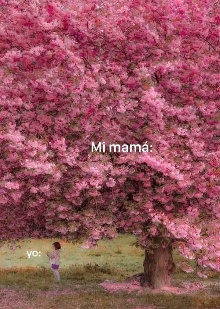 En Júpiter (@en_jupiter_) on Twitter photo 