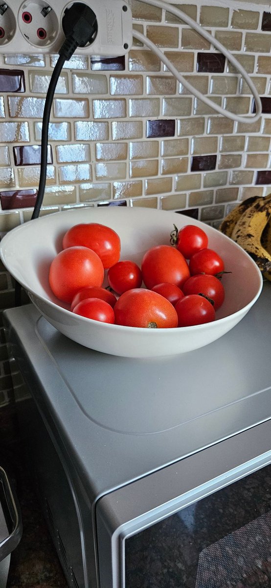 Azeri Türk'ü, sebze meyveler yüzünden hanım domatesleri buzdolabından kapı dışarı etmiş.