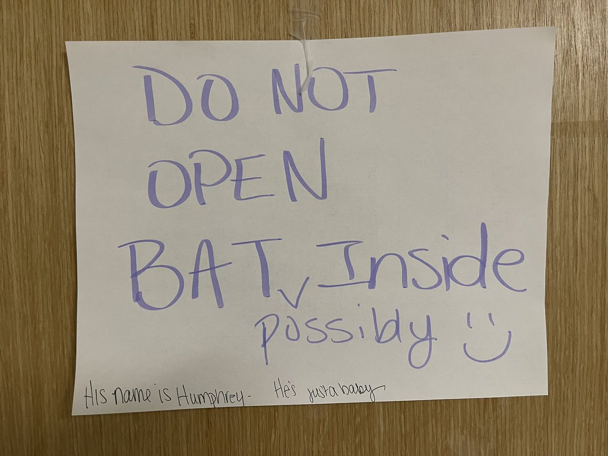 ♡ Senna ♡ tweet media