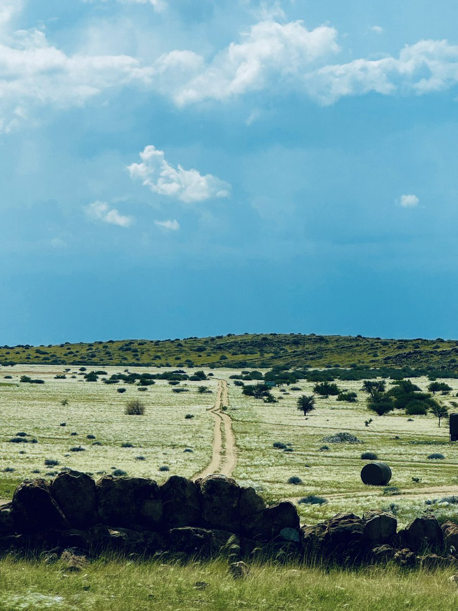 Kaira x Big Ben 🇳🇦