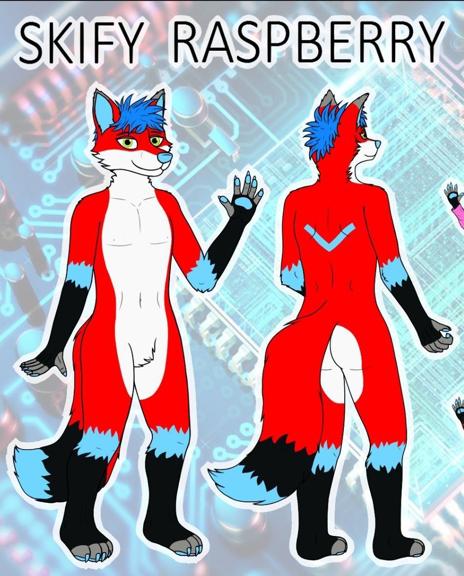 Skify Raspberry 🌟 tweet media