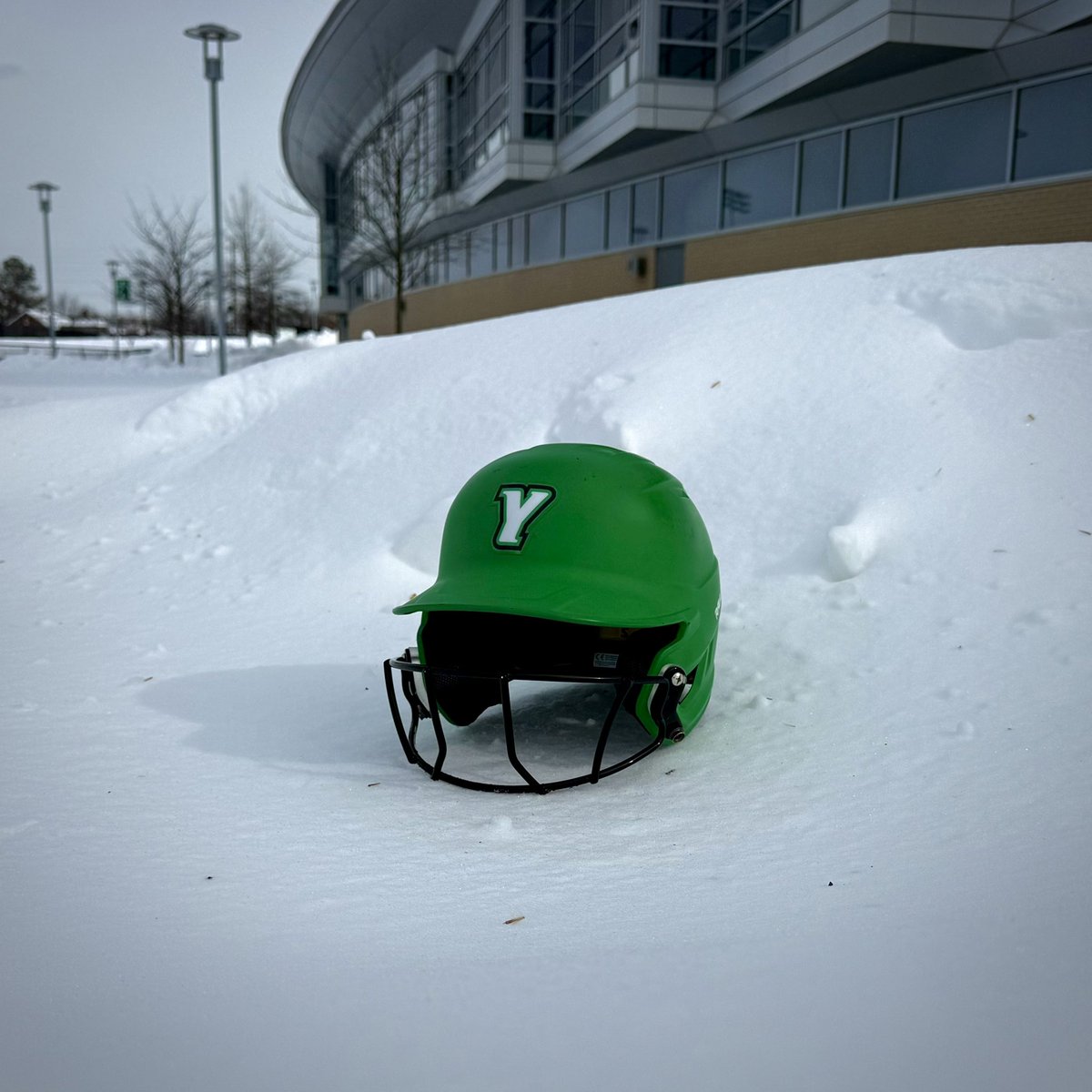 York Softball tweet media