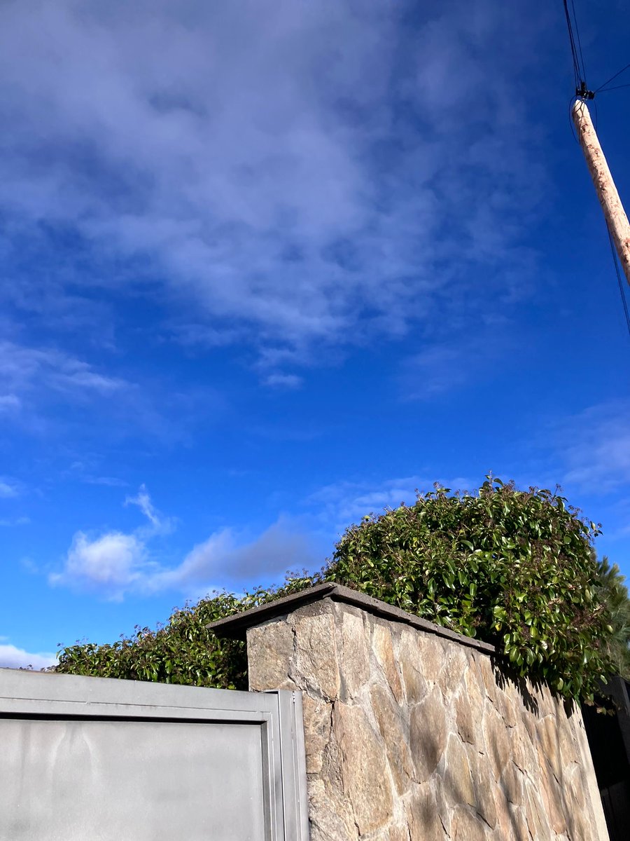 “Se abrió un claro entre las nubes, hemos vuelto a ver el sol, como dos presos comunes, en el tejao de una prisión”

Ya era hora!
