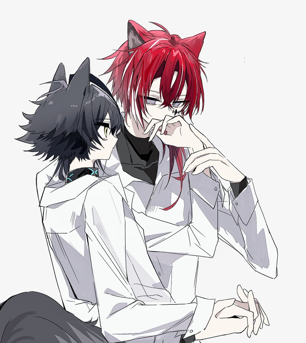 茶色小鸟 tweet media